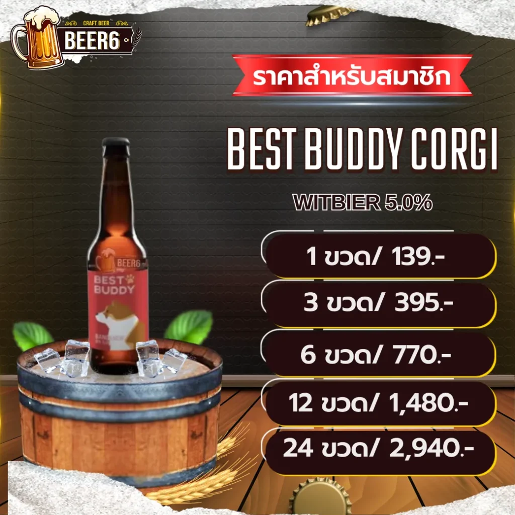 BEST BUDDY CORGI V3