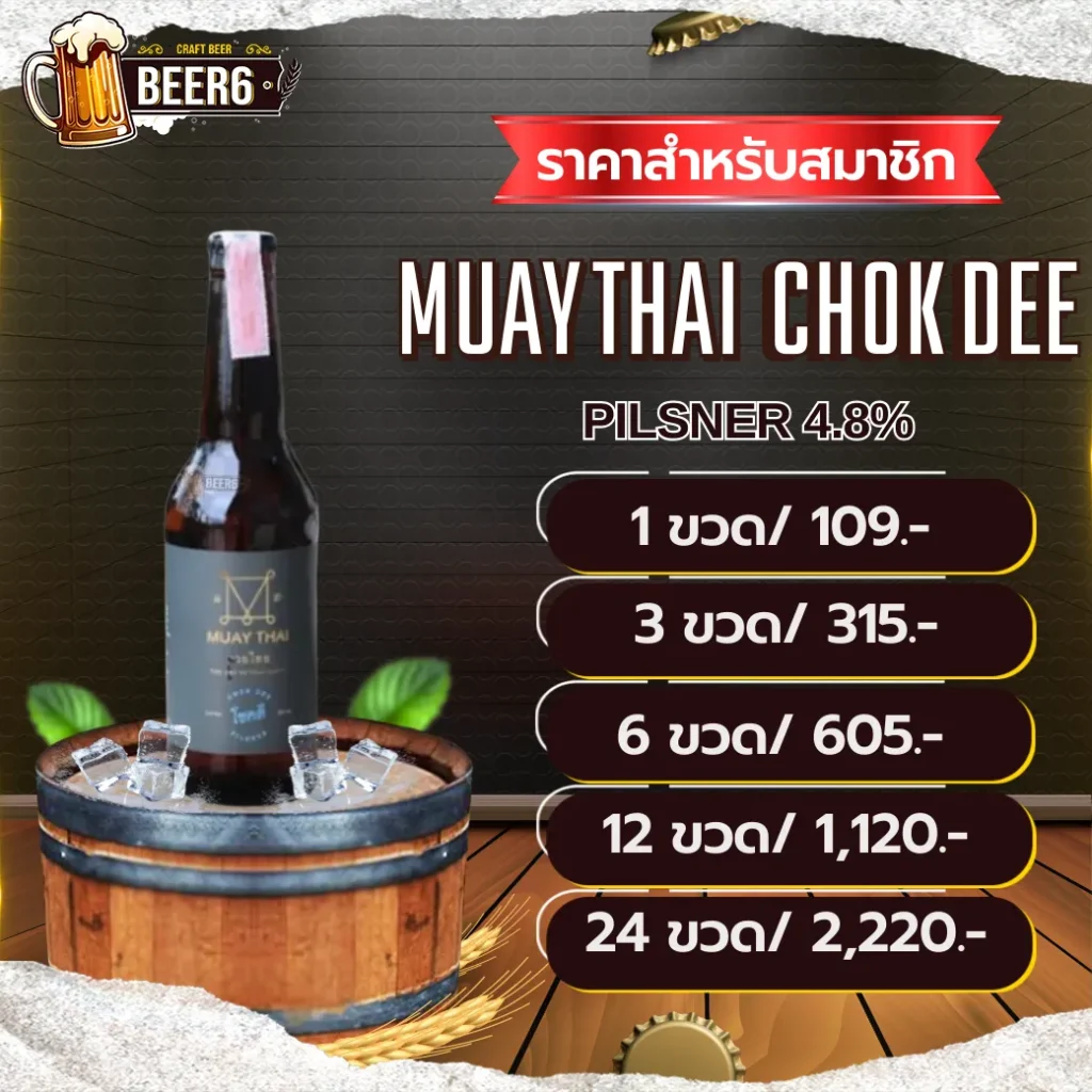MUAY THAI CHOK DEE V3